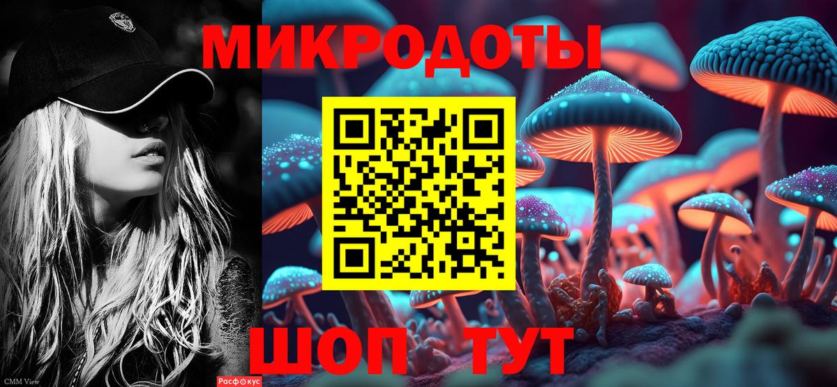 Псилоцибиновые грибы прущие грибы Волгоград
